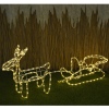 Double Reindeer With Sleight [604927]