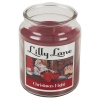 Lilly Lane 18oz Candle in Jar Winter Ediition