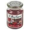 Lilly Lane 18oz Candle in Jar Winter Ediition