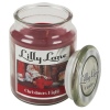 Lilly Lane 18oz Candle in Jar Winter Ediition