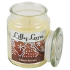 Lilly Lane 18oz Candle in Jar Winter Ediition