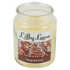 Lilly Lane 18oz Candle in Jar Winter Ediition