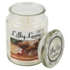 Lilly Lane 18oz Candle in Jar Winter Ediition