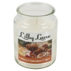 Lilly Lane 18oz Candle in Jar Winter Ediition