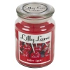 Lilly Lane 18oz Candle in Jar Winter Ediition