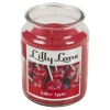 Lilly Lane 18oz Candle in Jar Winter Ediition