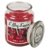 Lilly Lane 18oz Candle in Jar Winter Ediition