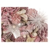 Wreath Pinecones Pink 24cm [138423]