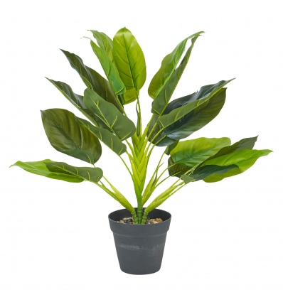 45cm Plant 4 Assorted [387711]