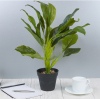 45cm Plant 4 Assorted [387711]