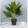 45cm Plant 4 Assorted [387711]