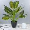 45cm Plant 4 Assorted [387711]