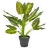 45cm Plant 4 Assorted [387711]