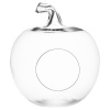 Fruit Shaped Glass Decoration/Vase