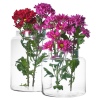 Wide Top Glass Cylinder Vase