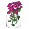 Wide Top Glass Cylinder Vase