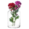 Wide Top Glass Cylinder Vase
