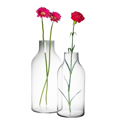 Bottle Shaped Glass Vase