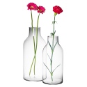 Bottle Shaped Glass Vase