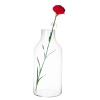 Bottle Shaped Glass Vase