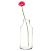 Bottle Shaped Glass Vase