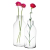 Bottle Shaped Glass Vase