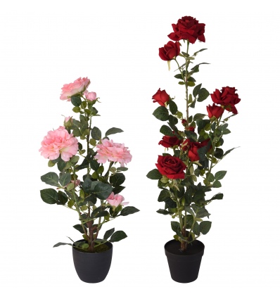 Plant Artificial Rose