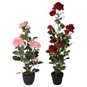 Plant Artificial Rose