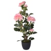 Plant Artificial Rose