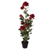 Plant Artificial Rose