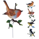 Garden Birds Metal Picks - 4 Colours