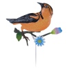 Garden Birds Metal Picks - 4 Colours