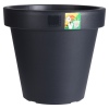Irrigation Flower Pot