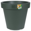 Irrigation Flower Pot