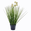 Deco Grass In Vase 46cm [882216]