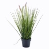 Deco Grass In Vase 46cm [882216]