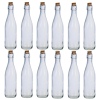 Glass Bottle 500ml With Cork Lid [411984]