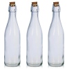 Glass Bottle 500ml With Cork Lid [411984]