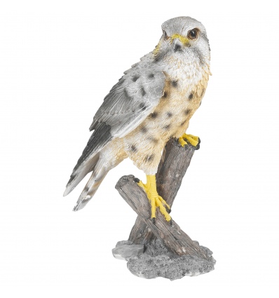 30cm Hawk made of Polystone [493683]