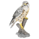 30cm Hawk made of Polystone [493683]