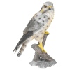 30cm Hawk made of Polystone [493683]