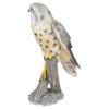 30cm Hawk made of Polystone [493683]