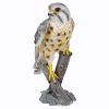 30cm Hawk made of Polystone [493683]