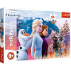 Puzzles - "24 Maxi" - Magical journey / Disney Frozen 2 [14298]