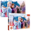 Puzzles - 24 Maxi - Magical journey / Disney Frozen 2 [14298]