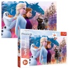 Puzzles - "24 Maxi" - Magical journey / Disney Frozen 2 [14298]