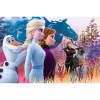 Puzzles - "24 Maxi" - Magical journey / Disney Frozen 2 [14298]