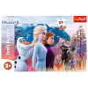 Puzzles - "24 Maxi" - Magical journey / Disney Frozen 2 [14298]