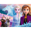 Puzzles - "30" - The courage of the sisters / Disney Frozen 2 [18253]