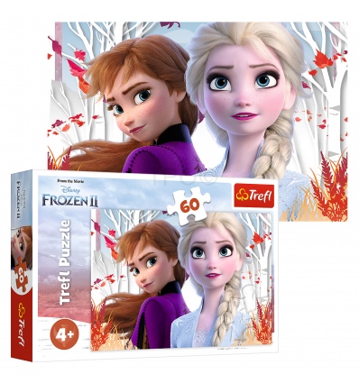 Puzzles - "60" - The enchanted world of Anna and Elsa / Disney Frozen 2 [17333]